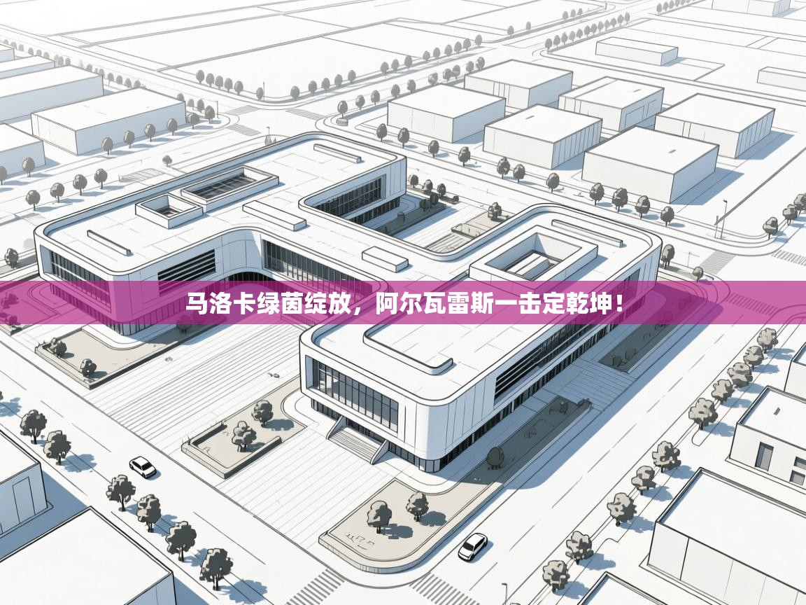 马洛卡绿茵绽放，阿尔瓦雷斯一击定乾坤！  第1张