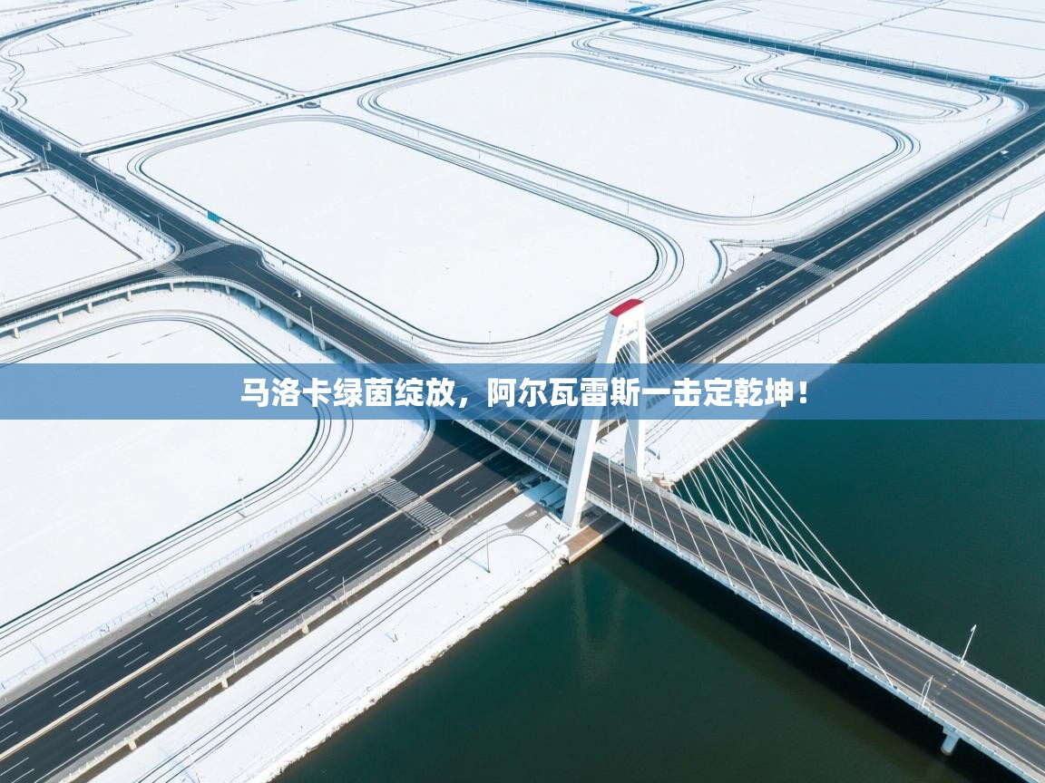 马洛卡绿茵绽放，阿尔瓦雷斯一击定乾坤！  第2张